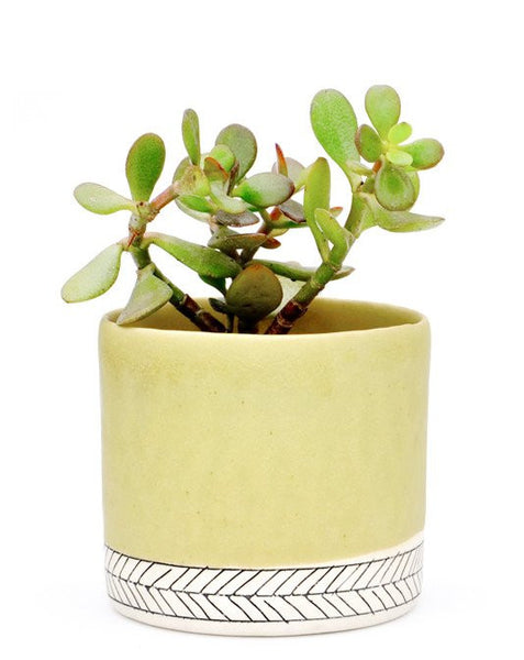 Herringbone Ceramic Planter